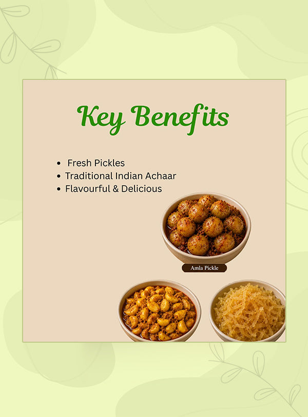Organic Anand Amla Trio (Amla + Garlic Turmeric + Murabba)