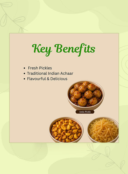 Organic Anand Amla Trio (Amla + Garlic Turmeric + Murabba)