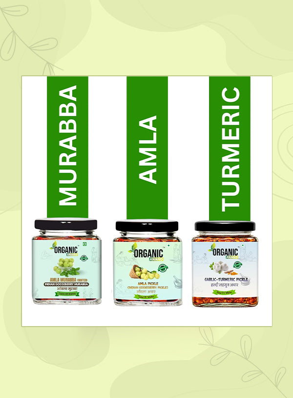 Organic Anand Amla Trio (Amla + Garlic Turmeric + Murabba)