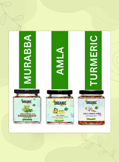 Organic Anand Amla Trio (Amla + Garlic Turmeric + Murabba)