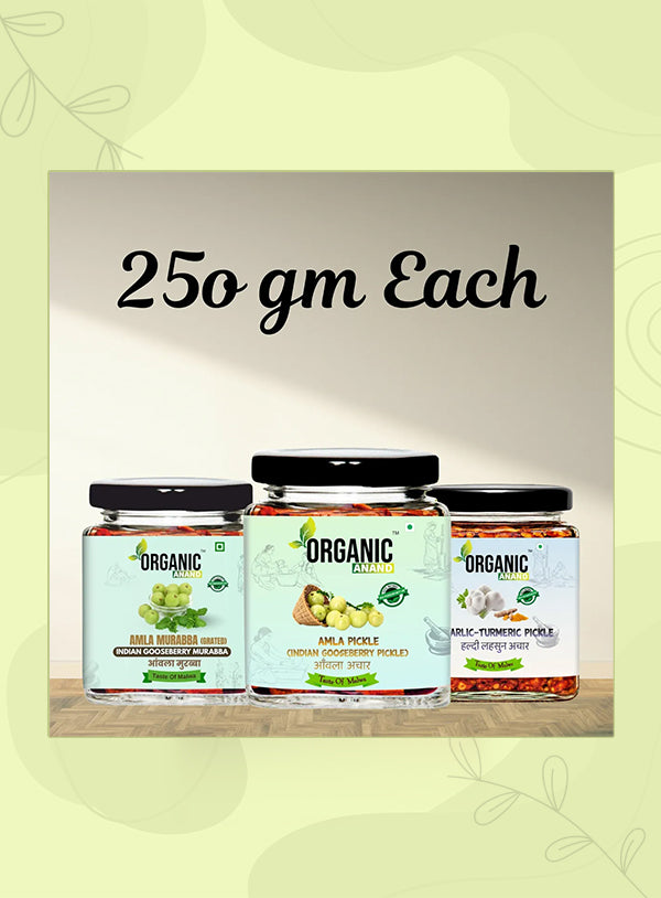 Organic Anand Amla Trio (Amla + Garlic Turmeric + Murabba)