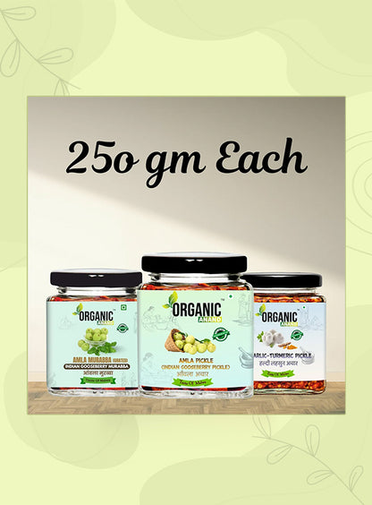 Organic Anand Amla Trio (Amla + Garlic Turmeric + Murabba)