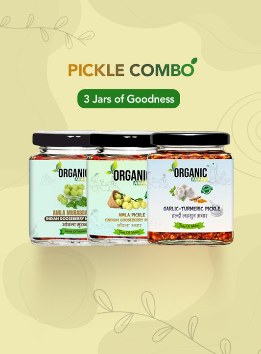 Organic Anand Amla Trio (Amla + Garlic Turmeric + Murabba)