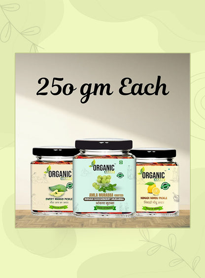Organic Anand Classic Trio (Mango + Amla + Nimadi Lemon)