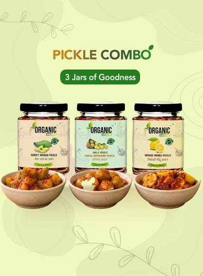 Organic Anand Classic Trio (Mango + Amla + Nimadi Lemon)
