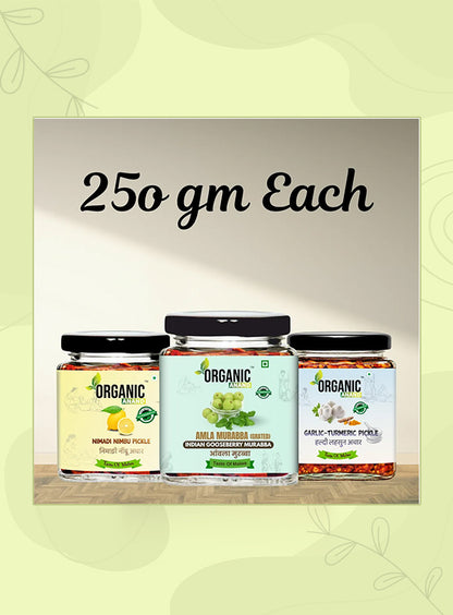 Organic Anand Heritage Trio (Garlic Turmeric + Nimadi Lemon + Murabba)