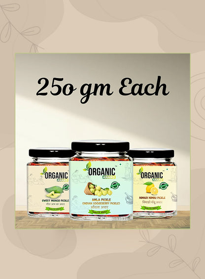 Organic Anand Immunity Trio (Mango + Amla + Garlic Turmeric)