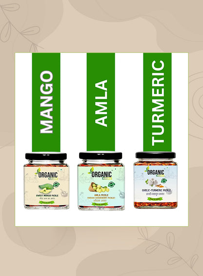Organic Anand Immunity Trio (Mango + Amla + Garlic Turmeric)