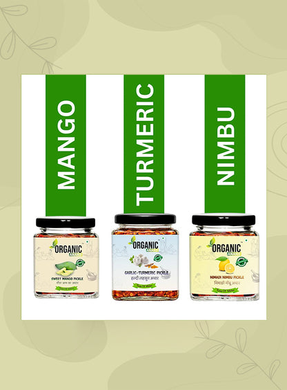 Organic Anand Spicy Trio (Mango + Garlic Turmeric + Nimadi Lemon)