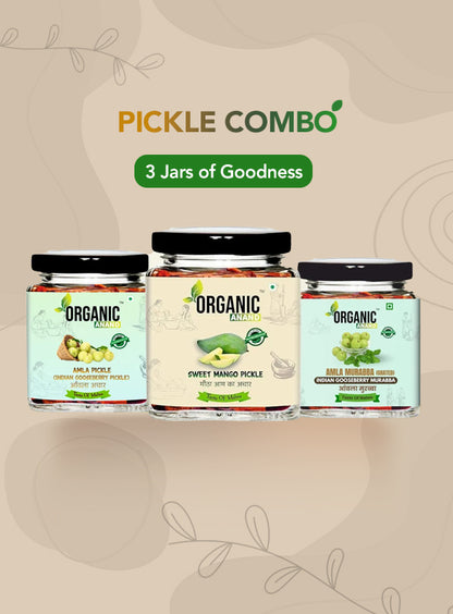 Organic Anand Sweet & Tangy Trio (Mango + Amla + Murabba)