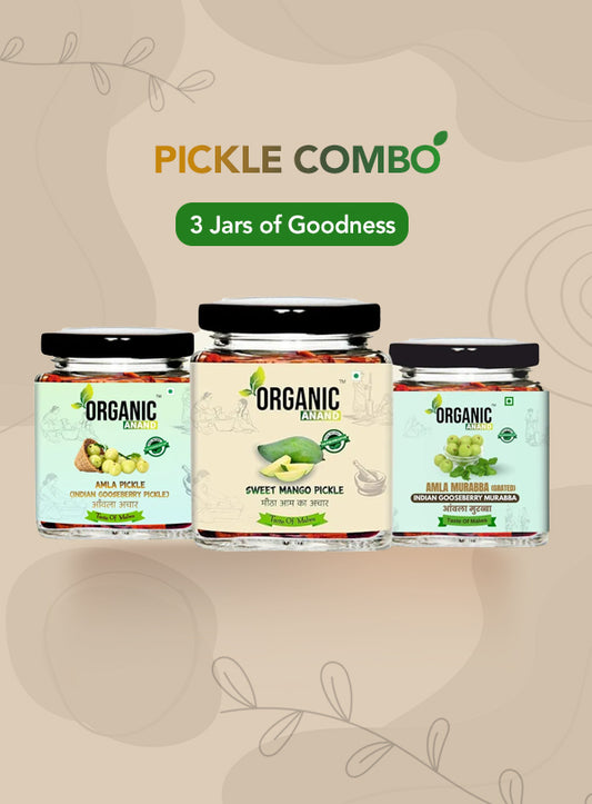 Organic Anand Sweet & Tangy Trio (Mango + Amla + Murabba)