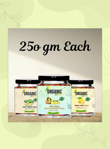 Organic Anand Vitamin C Trio (Amla + Nimadi Lemon + Murabba)