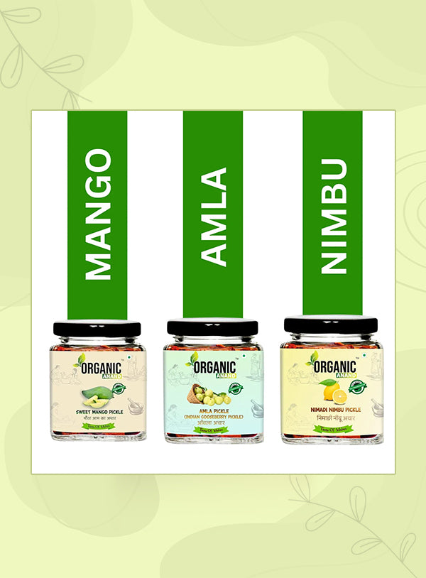 Organic Anand Vitamin C Trio (Amla + Nimadi Lemon + Murabba)