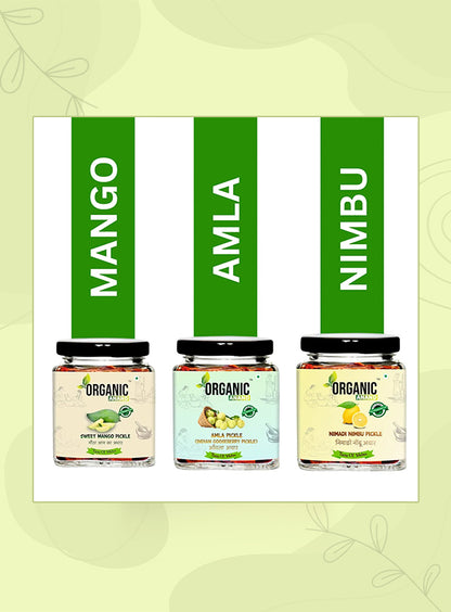 Organic Anand Vitamin C Trio (Amla + Nimadi Lemon + Murabba)