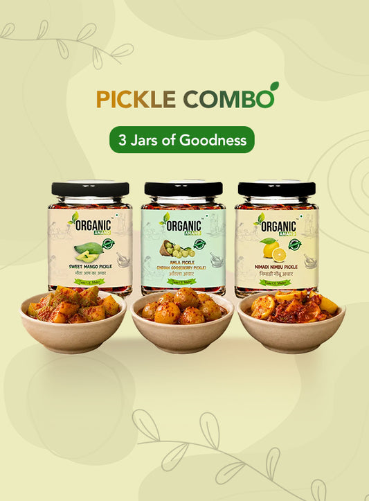 Organic Anand Vitamin C Trio (Amla + Nimadi Lemon + Murabba)