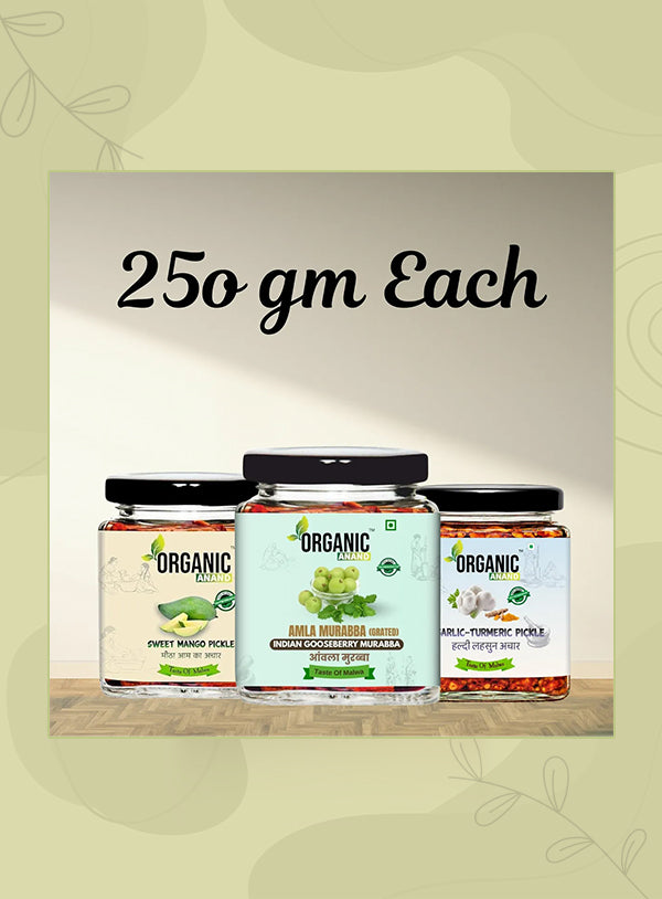 Organic Anand Wellness Trio (Mango + Garlic Turmeric + Murabba)