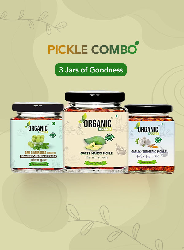 Organic Anand Wellness Trio (Mango + Garlic Turmeric + Murabba)