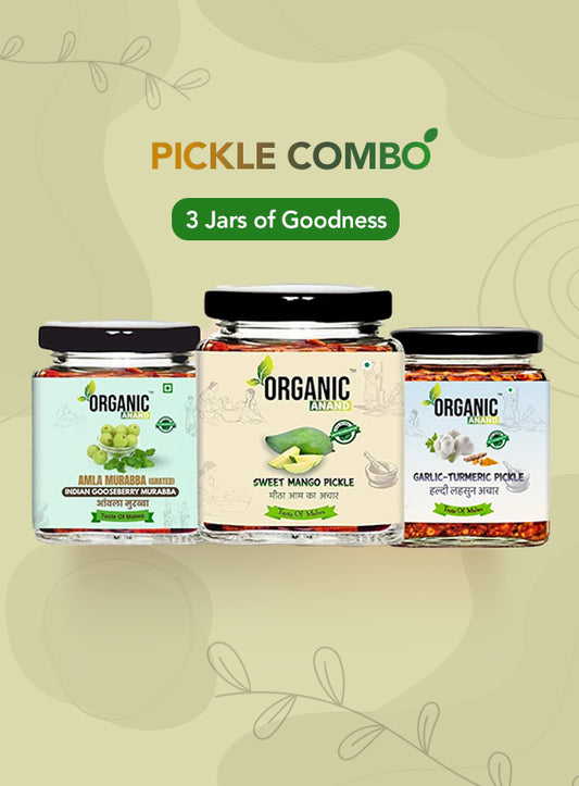Organic Anand Wellness Trio (Mango + Garlic Turmeric + Murabba)